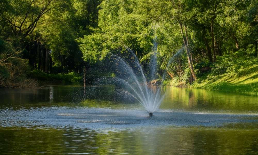 Photo of the watershed management garden area at Wiang Jed Lin | Zinarin